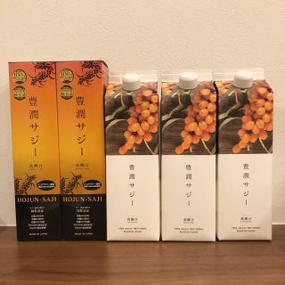 【届いたばかり！】　サジー　フィネス　1000ml 300ml 合計5本(その他)