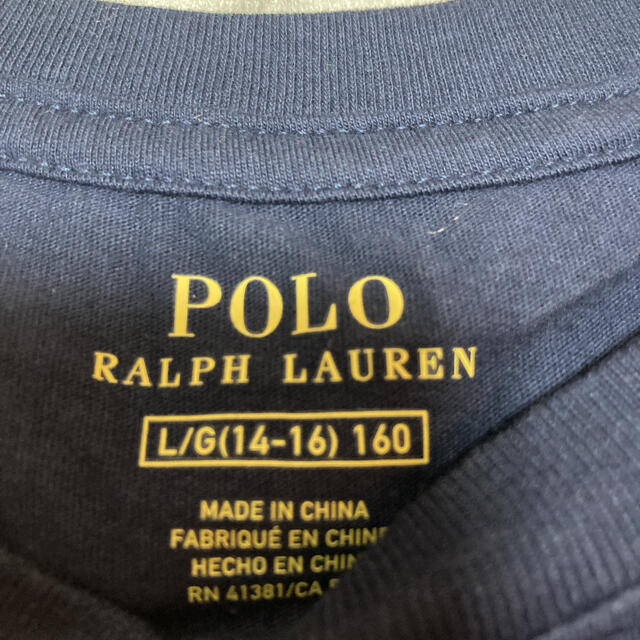 POLO RALPH LAUREN(ポロラルフローレン)の新品☆☆ポロラルフローレン ポロベア L/160 紺 レディースのトップス(Tシャツ(半袖/袖なし))の商品写真