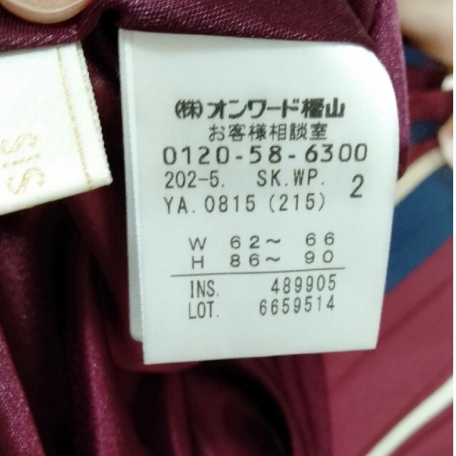 anySiS(エニィスィス)のanysis エニスィス ストライプ柄ロングスカート プリーツ レディースのスカート(ロングスカート)の商品写真