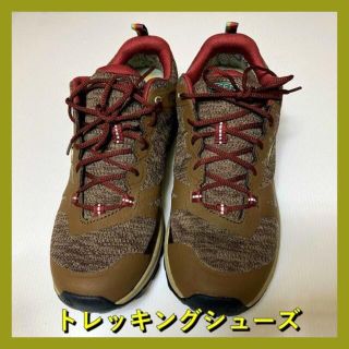 キーン(KEEN)の超格安！ [キーン] トレッキング TERRADORA II WP(旧モデル) (スニーカー)