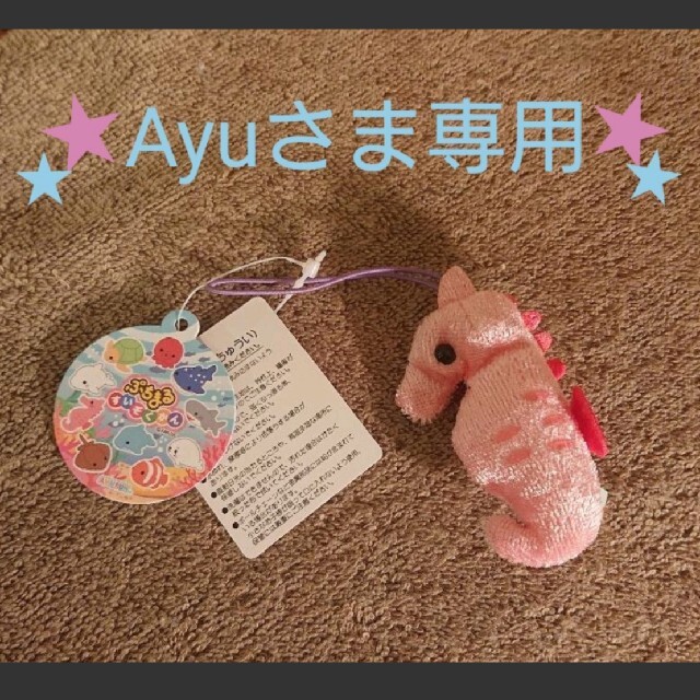 ぷちまるすいぞくかん【Ayuさま専用ページ】タツノオトシゴ単品の通販