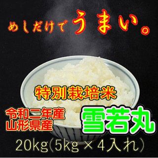 令和二年産米　 山形県産　雪若丸 （特別栽培米＆大粒選別）(米/穀物)