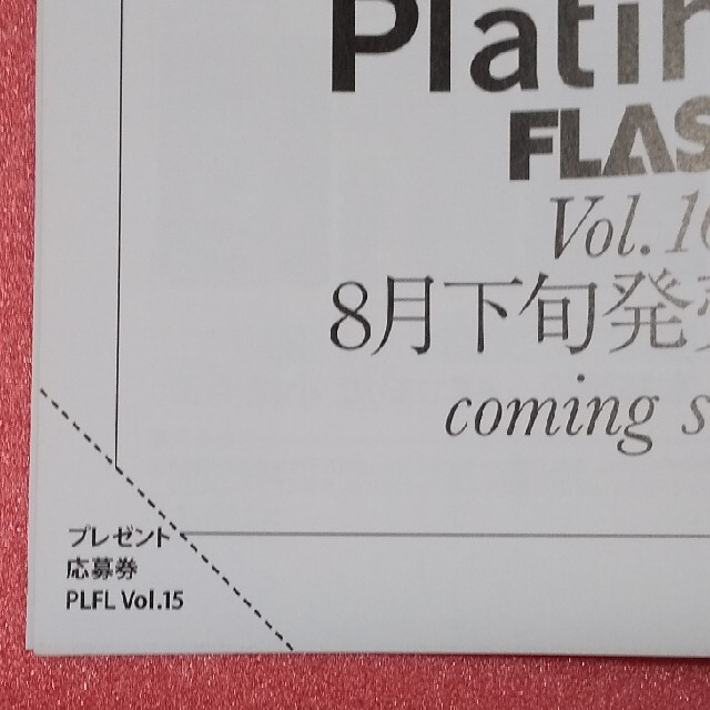 光文社(コウブンシャ)のPlatinum FLASH vol.15 乃木坂与田 AKB行天 SKE竹内 エンタメ/ホビーの本(アート/エンタメ)の商品写真