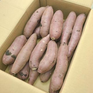 長期熟成　☆高糖度サツマイモ☆ 茨城県産　紅はるか(野菜)