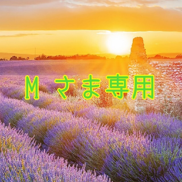 ㉑M リピーターさま煮干し✖️野菜✖️通常お出汁セット✨✨