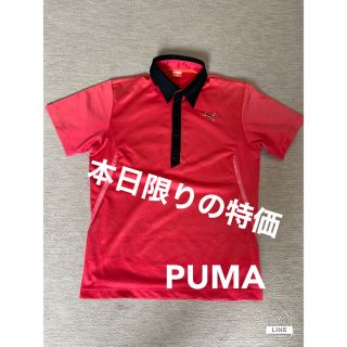 プーマ(PUMA)の再値下げ‼︎　美品！PUMAポロシャツ(ウエア)