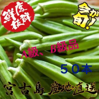 訳あり 沖縄県産 おくら 50本(野菜)