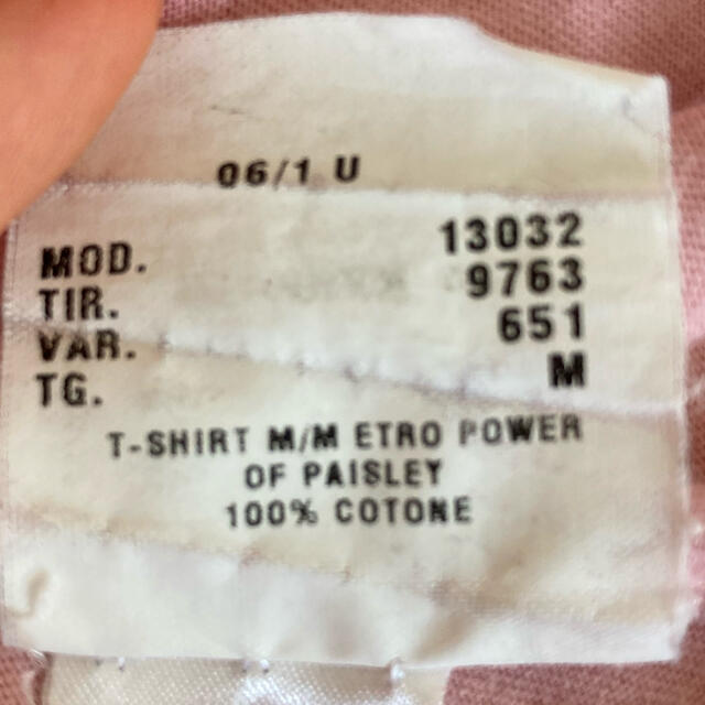 ETRO(エトロ)のエトロ　ETRO  ライオン　Tシャツ メンズのトップス(Tシャツ/カットソー(半袖/袖なし))の商品写真