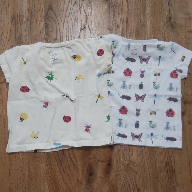 【ゆん様専用】Insect Collection  Tシャツ2枚 サイズS キッズ/ベビー/マタニティのベビー服(~85cm)(Ｔシャツ)の商品写真