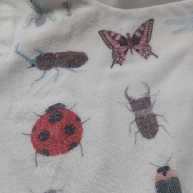 【ゆん様専用】Insect Collection  Tシャツ2枚 サイズS キッズ/ベビー/マタニティのベビー服(~85cm)(Ｔシャツ)の商品写真