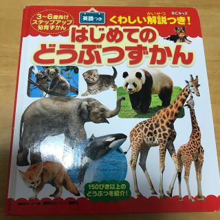 はじめてのどうぶつずかん(絵本/児童書)