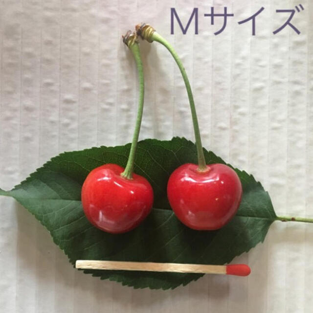 6/27まで発送【訳あり】山形県産さくらんぼ🍒佐藤錦1キロ 食品/飲料/酒の食品(フルーツ)の商品写真