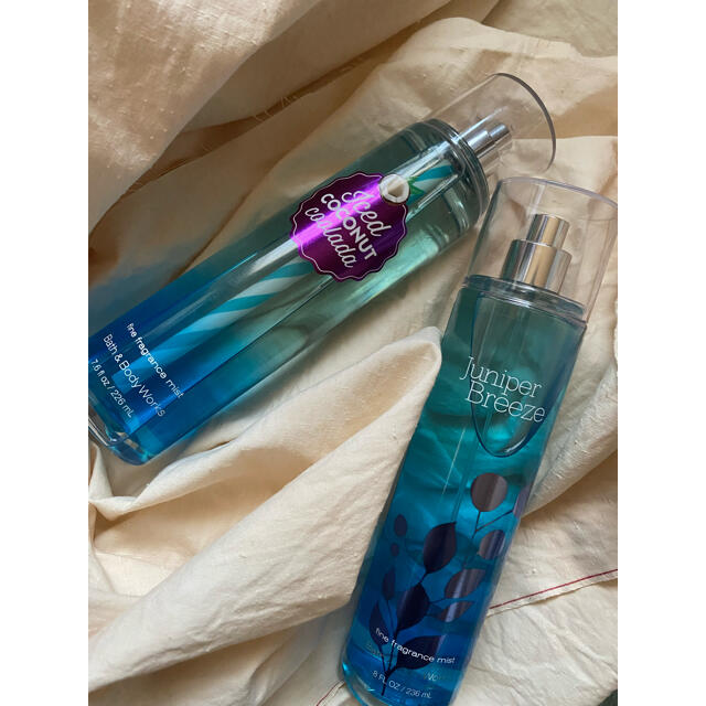 Bath & Body Works(バスアンドボディーワークス)の日本未入荷　新品　バスアンドボディーワークス　Bath and Body  コスメ/美容のボディケア(ボディローション/ミルク)の商品写真