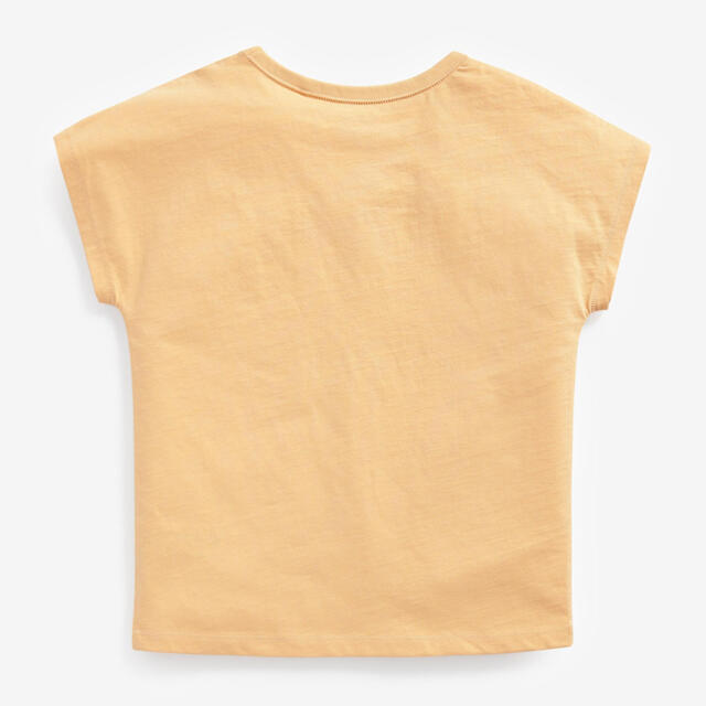 NEXT(ネクスト)の【新品】next マルチ Muted Tone Tシャツ4枚組（ガールズ） キッズ/ベビー/マタニティのキッズ服女の子用(90cm~)(Tシャツ/カットソー)の商品写真