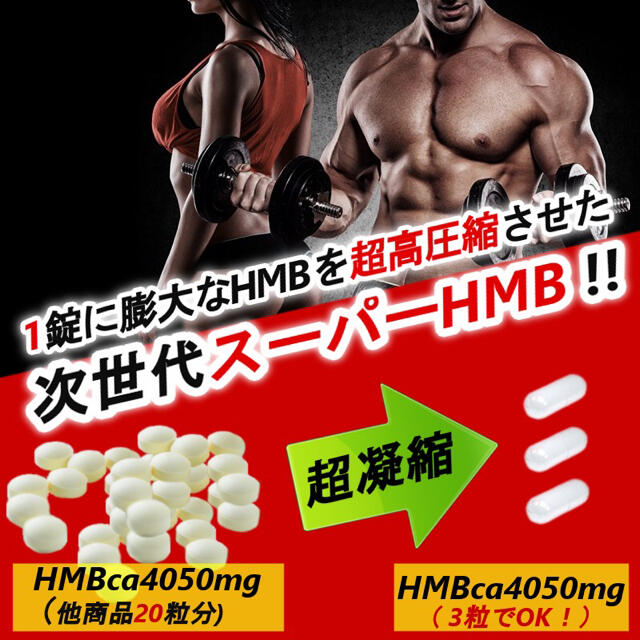 8万mg超！ 鍛神 ファイラマッスル2袋弱分超HMB含有量【REVODY サプリ 食品/飲料/酒の健康食品(プロテイン)の商品写真