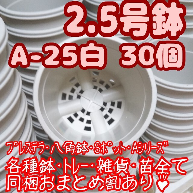 プラ鉢2.5号鉢【A-25】30個 スリット鉢 丸 プレステラ 多肉植物 ハンドメイドのフラワー/ガーデン(プランター)の商品写真