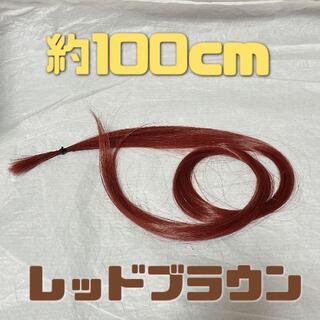 コスプレウィッグ 毛束 エクステ 100cm(その他)
