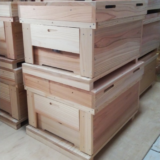 西洋蜜蜂巣箱 | suellencolombo.com.br