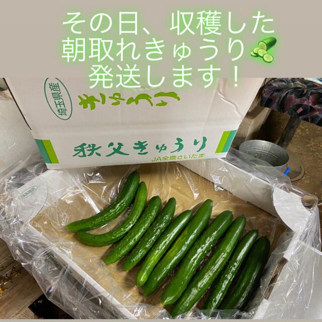 秩父きゅうり 食品/飲料/酒の食品(野菜)の商品写真