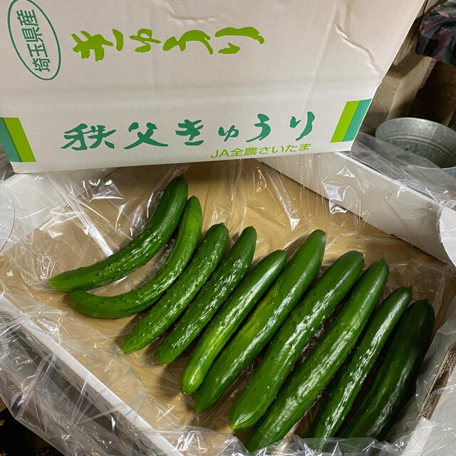 秩父きゅうり 食品/飲料/酒の食品(野菜)の商品写真