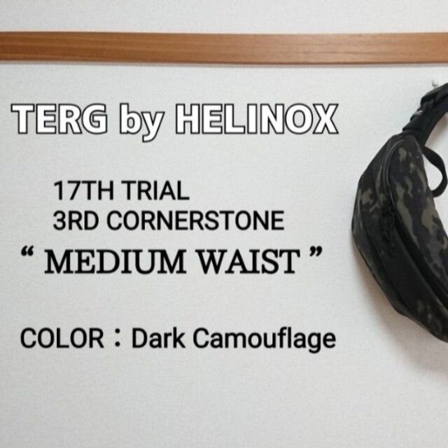 TERG by HELINOX：MIDIUM WAIST メンズのバッグ(ウエストポーチ)の商品写真