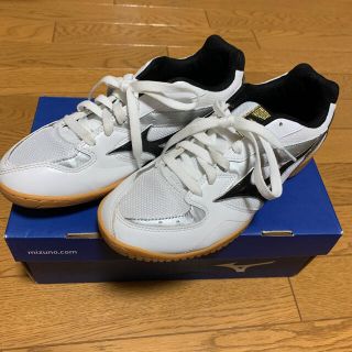 ミズノ(MIZUNO)のMIZUNO 卓球シューズ　25     らららん2様専用　(スニーカー)