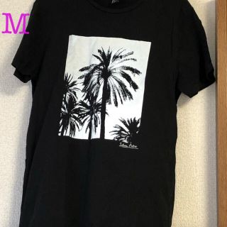 エイチアンドエム(H&M)のメンズ　半袖Tシャツ　h＆m(Tシャツ/カットソー(半袖/袖なし))