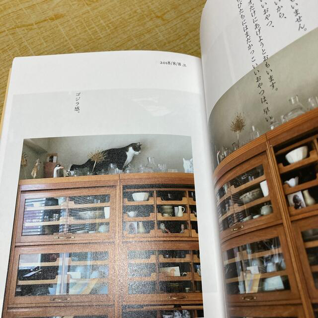ハニオ日記 ２ エンタメ/ホビーの本(文学/小説)の商品写真