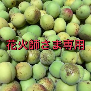 ☆花火師さま専用ページ☆加工用あんず（訳あり）3.5キロ(フルーツ)