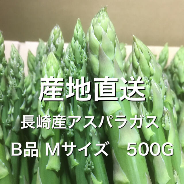 長崎産アスパラガス B品 Mサイズ 500G 食品/飲料/酒の食品(野菜)の商品写真