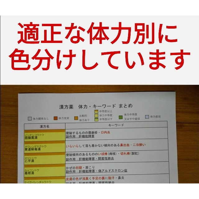 【ラミネートなし】登録販売者試験　視覚で覚える漢方・生薬暗記セット　 エンタメ/ホビーの本(資格/検定)の商品写真