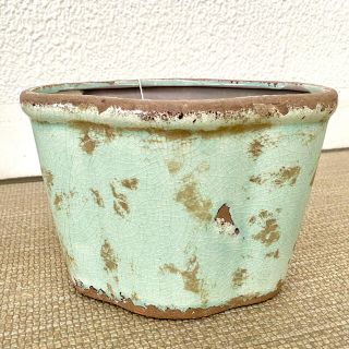 ザラホーム(ZARA HOME)のCovenant garden  アイシー・ターコイズオーバル ポット(プランター)