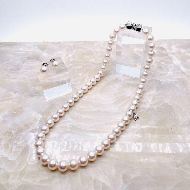 日本限定モデル】 ミキモト パールネックレス シルバー925 - ネックレス