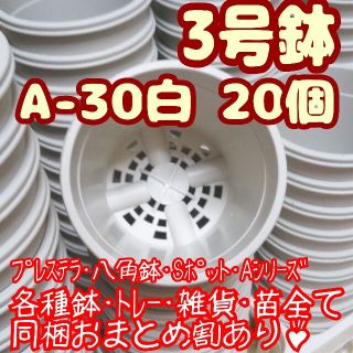 プラ鉢3号鉢【A-30】20個 スリット鉢 丸 プレステラ 多肉植物(プランター)