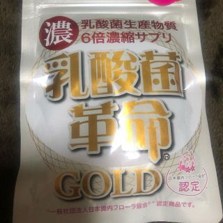 乳酸菌革命 GOLD(その他)