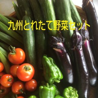 無農薬野菜詰め合わせ(野菜)