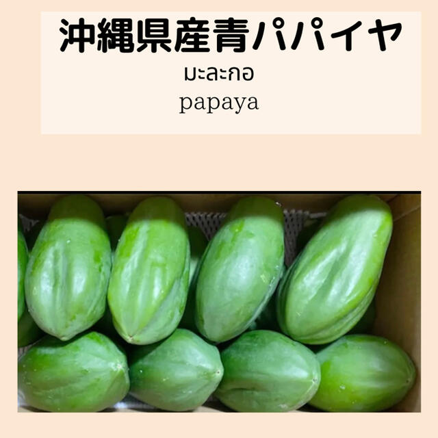 沖縄県産青パパイヤ2kg＝2,200円 食品/飲料/酒の食品(野菜)の商品写真