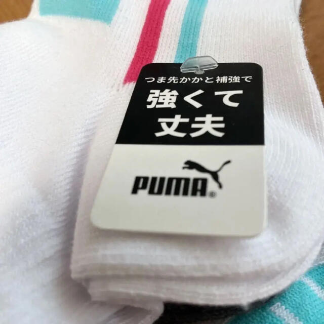 PUMA(プーマ)の【新品】スポーツ ブランド ソックス 靴下 6p セット 23cm 25cm レディースのレッグウェア(ソックス)の商品写真