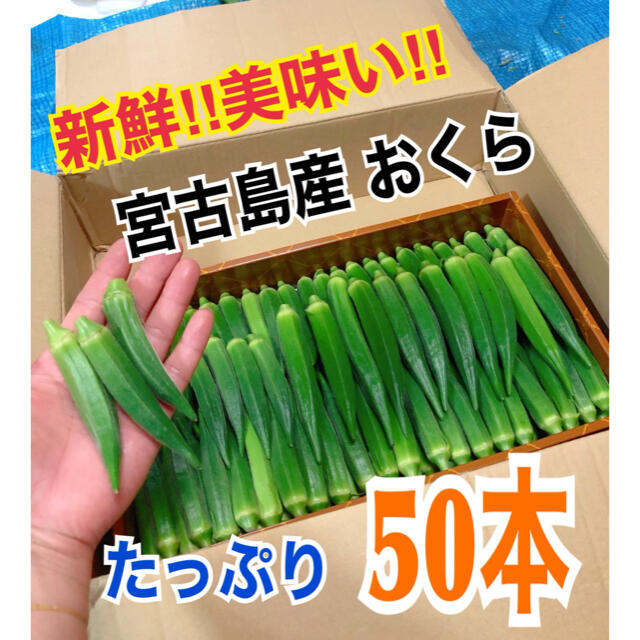 ラスト宮古島産 おくら オクラ ラスト宮古島産 おくら オクラ
