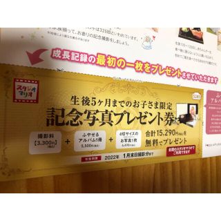 しぃ専用　スタジオマリオ　記念写真プレゼント券　無料券(ショッピング)