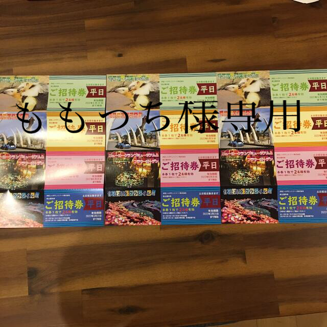 【ももっち様専用】【6名分】伊豆シャボテン公園 株主優待 平日券3セット チケットの施設利用券(遊園地/テーマパーク)の商品写真