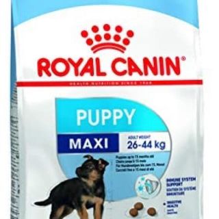 ロイヤルカナン(ROYAL CANIN)のロイヤルカナン　マキシパピー　9kg(ペットフード)