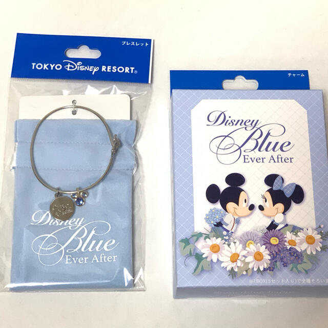 Disney(ディズニー)のディズニー　ブルーエバーアフター　ブレスレット　シークレット入りチャームセット エンタメ/ホビーのおもちゃ/ぬいぐるみ(キャラクターグッズ)の商品写真