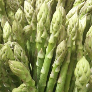 新鮮！グリーンアスパラガス  1.5㎏(野菜)