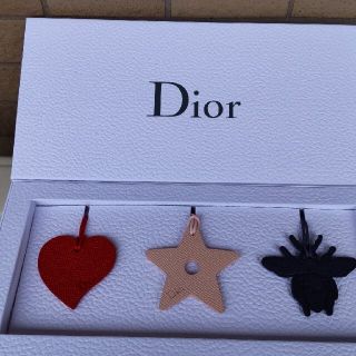 クリスチャンディオール(Christian Dior)のDiorバックチャーム(その他)