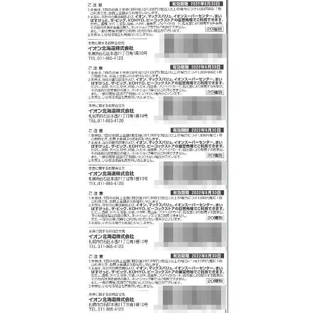 イオン北海道 株主優待券 5000円分(100円券×50枚綴) 22.6.30迄 チケットの優待券/割引券(ショッピング)の商品写真