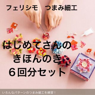 フェリシモ(FELISSIMO)のフェリシモ　つまみ細工『はじめてさんのきほんのき』６回分セット(その他)