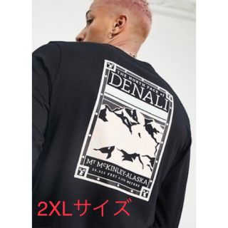 ザノースフェイス(THE NORTH FACE)の【TheNorthFace】DENARIロングＴシャツ☆海外限定(Tシャツ/カットソー(七分/長袖))