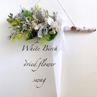 ドライフラワー White Birch 白樺 スワッグ 横長スワッグ (ドライフラワー)