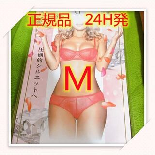 1枚 4段“大人気”PRINCESS SLIMプリンセススリムMサイズ 新品(タイツ/ストッキング)